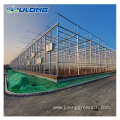 Agricultural Greenhouse for tomato/cucumber planting